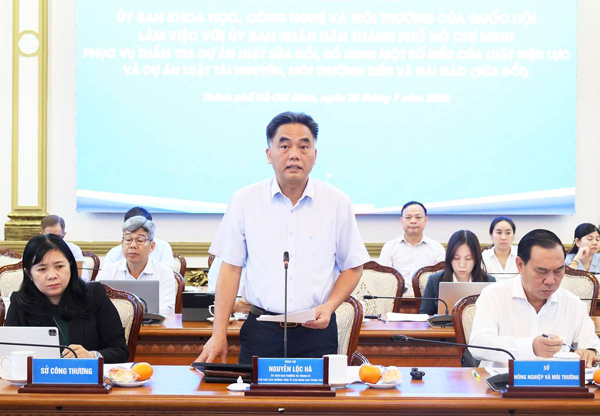 TP Hồ Chí Minh tháo “điểm nghẽn” cho năng lượng và kinh tế biển - Ảnh 1