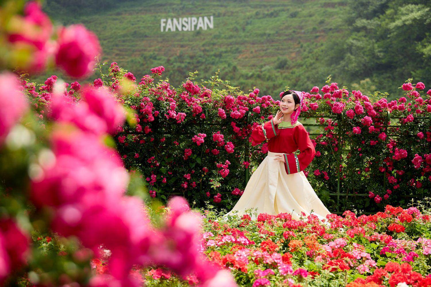 10 năm cáp treo Fansipan: Từ "giấc mơ phượt thủ" đến động lực tăng trưởng du lịch Sa Pa - Ảnh 4