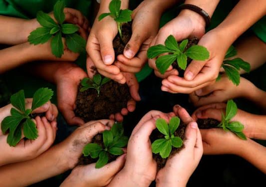 Dành tối thiểu 2% ngân sách hằng năm cho bảo vệ môi trường: 'Đòn bẩy' tài chính công và bước ngoặt quản trị hiện đại - Ảnh 1