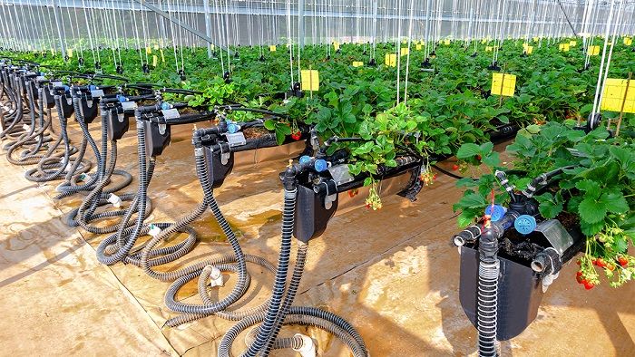 Tăng trưởng kinh tế bứt tốc và bài toán bền vững sinh thái: Nhìn từ Phiên họp Chính phủ tháng 7/2026 - Ảnh 3