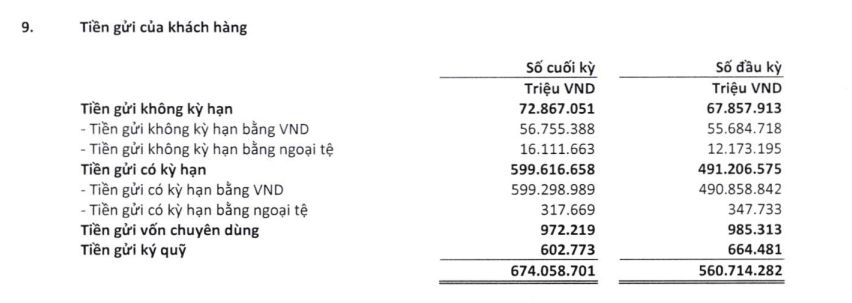 HDBank tăng trưởng tín dụng hơn 20%, chất lượng tài sản có gì đáng chú ý? - Ảnh 4
