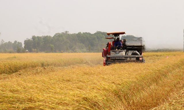 An Giang kiến tạo chuỗi giá trị xanh cho hàng xuất khẩu - Ảnh 2