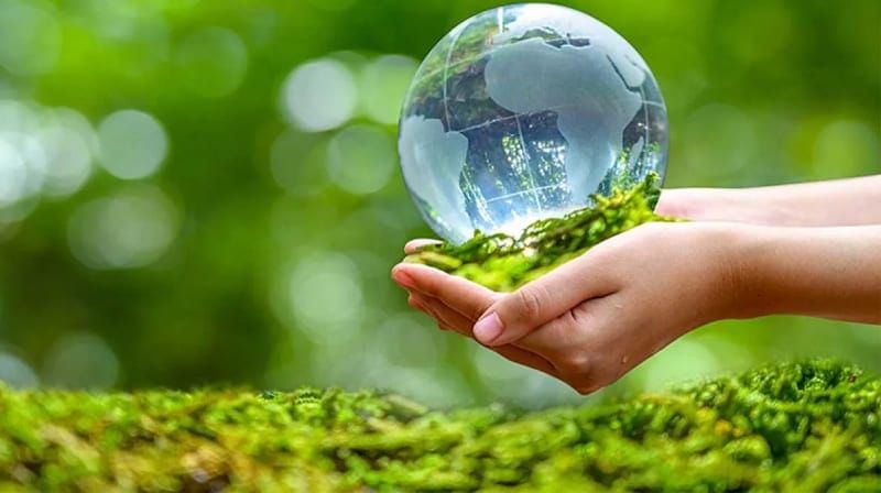 Kiểm toán năng lượng: Từ nghĩa vụ pháp lý đến "la bàn" cạnh tranh của doanh nghiệp - Ảnh 1
