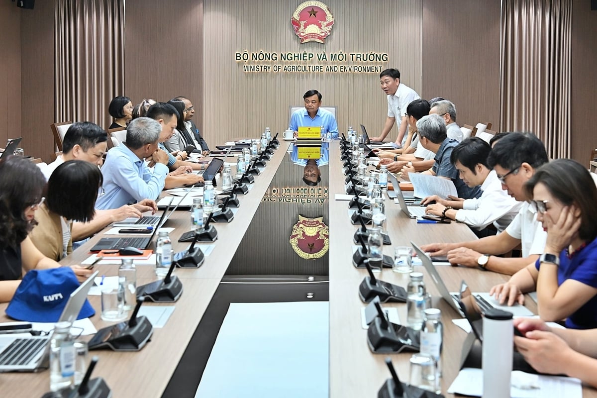 Đề án 1 triệu ha lúa: Từ giảm phát thải đến xây dựng thương hiệu “gạo Việt Nam xanh” - Ảnh 1