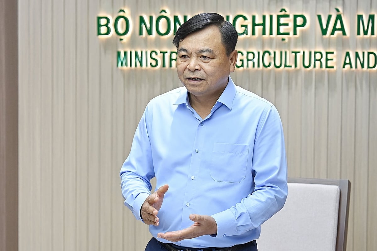 Đề án 1 triệu ha lúa: Từ giảm phát thải đến xây dựng thương hiệu “gạo Việt Nam xanh” - Ảnh 2