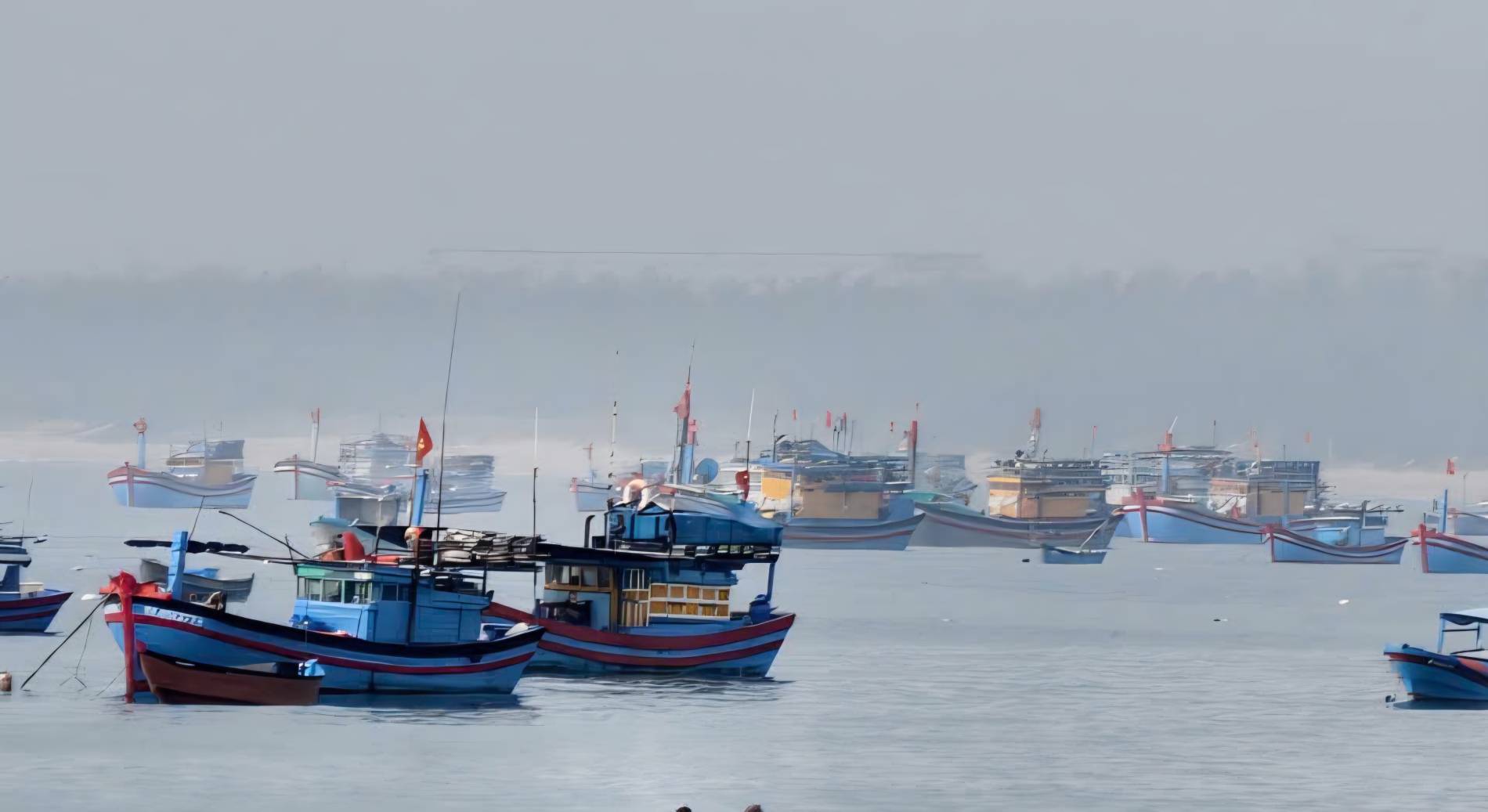 Gia Lai siết IUU, chuyển từ “gỡ thẻ vàng” sang quản trị nghề cá bền vững - Ảnh 1