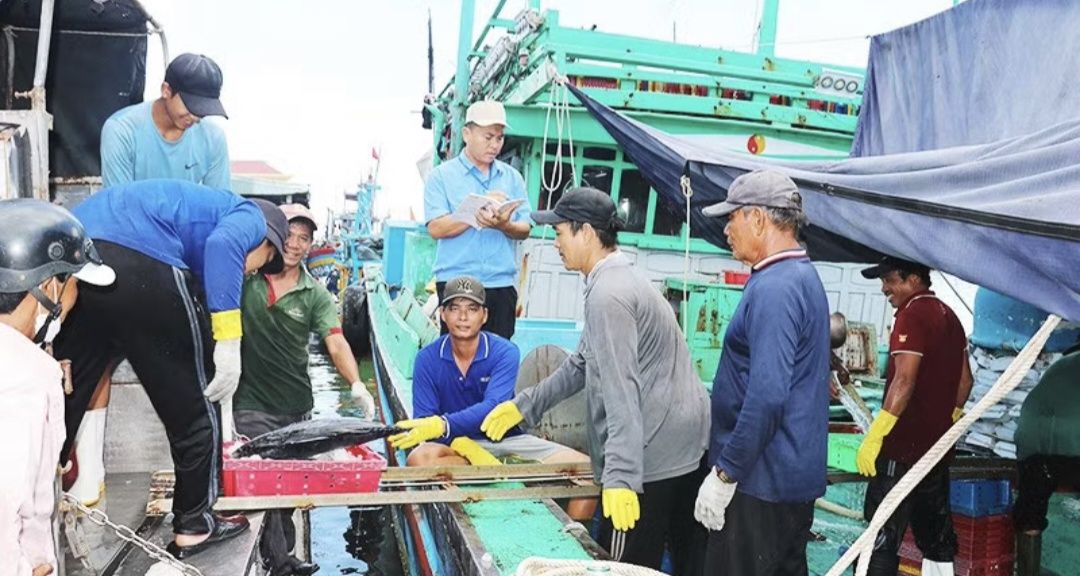 Gia Lai siết IUU, chuyển từ “gỡ thẻ vàng” sang quản trị nghề cá bền vững - Ảnh 2