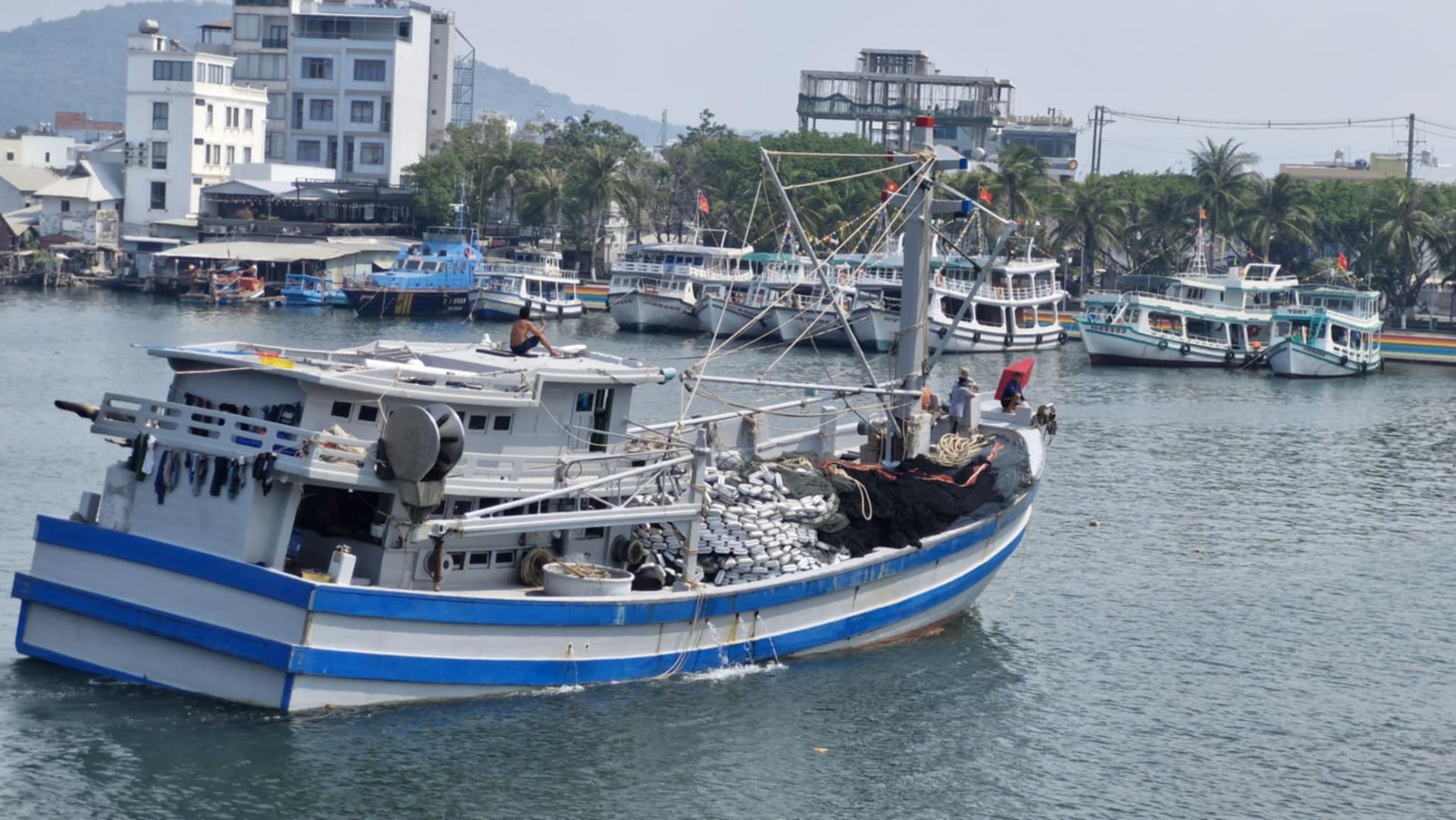 An Giang và bài toán biến lợi thế FTA thành năng lực cạnh tranh bền vững - Ảnh 3