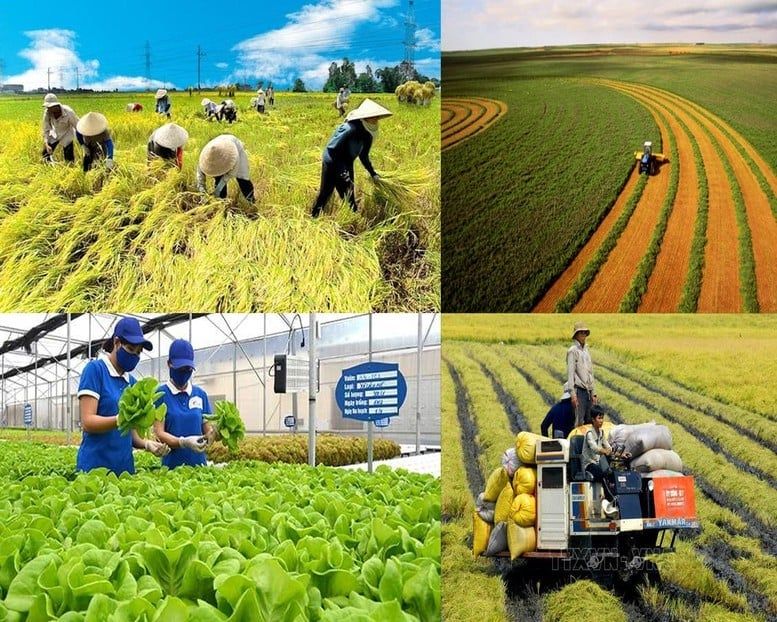 Khơi thông thể chế, bứt phá xuất khẩu và chủ động trước thiên tai dị thường - Ảnh 1