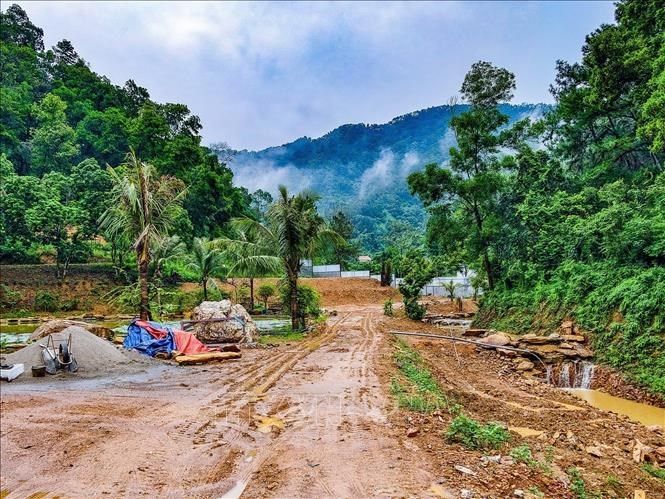 Đất nông lâm trường: Khơi thông nguồn lực, nhưng không đánh đổi môi trường - Ảnh 2