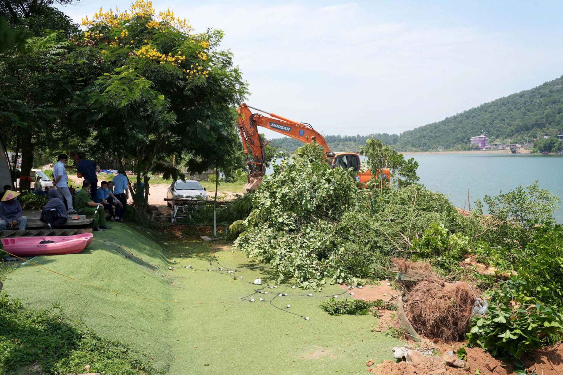 Đánh thức 'vốn tự nhiên' hơn 8.300 ha đất nông, lâm trường: Lằn ranh sinh thái và mệnh lệnh phát triển xanh của Thủ đô - Ảnh 2