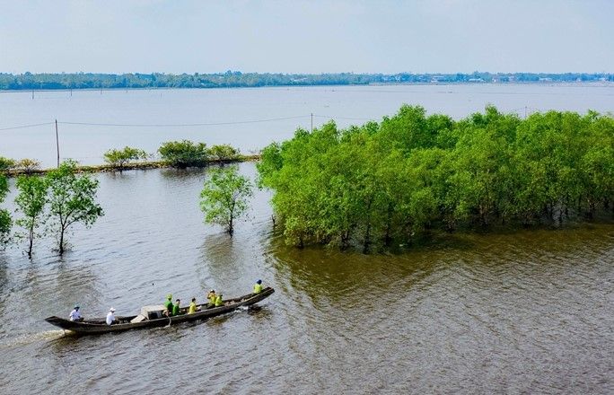 Từ tài nguyên sinh thái đến tài sản carbon: Lối đi mở cho kinh tế xanh ở Huế - Ảnh 2