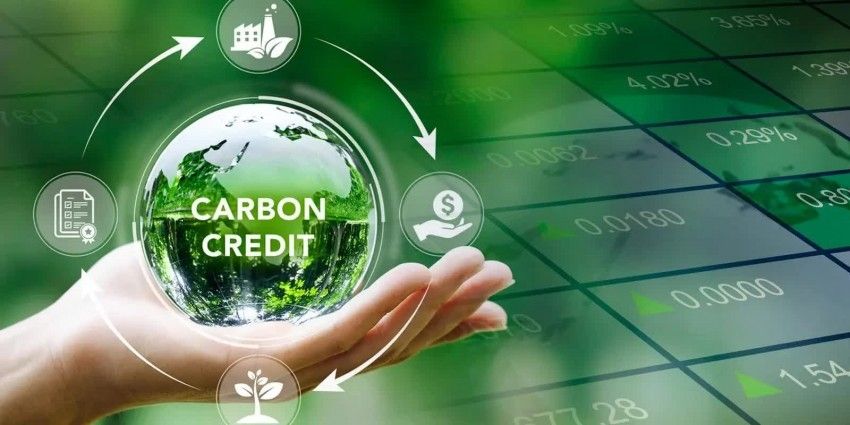 Bước ngoặt thể chế trong quản lý tín chỉ carbon: Phân quyền và bài toán toàn vẹn thị trường - Ảnh 1