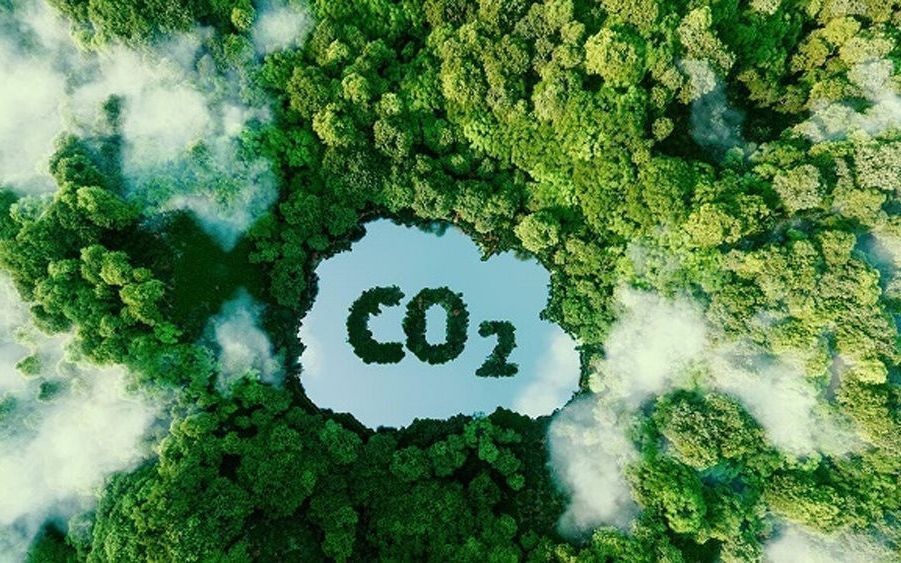 Bước ngoặt thể chế trong quản lý tín chỉ carbon: Phân quyền và bài toán toàn vẹn thị trường - Ảnh 2
