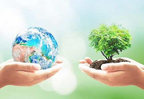 Lạng Sơn dành gần 13,9 tỷ đồng cho vay ưu đãi các dự án bảo vệ môi trường - Ảnh 1