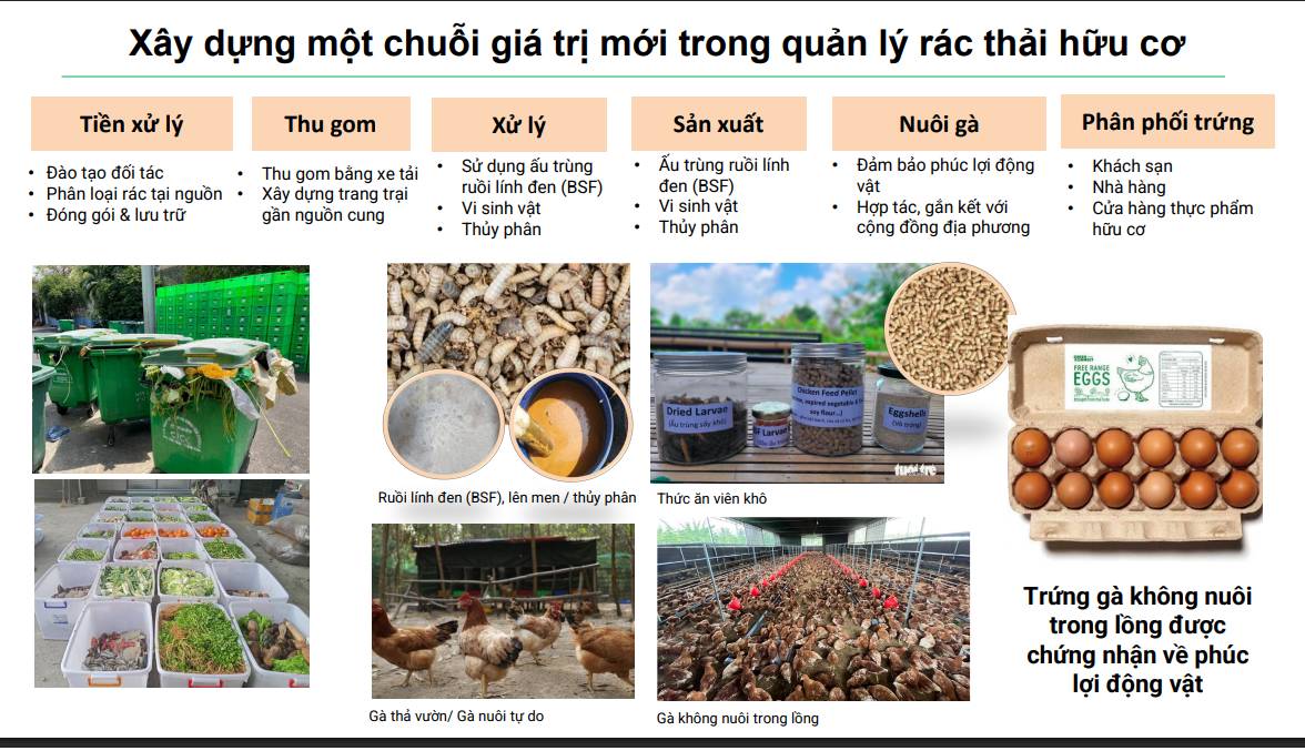 Khách sạn TP.HCM trước bài toán tăng trưởng xanh: ESG không còn để “trang trí” - Ảnh 2