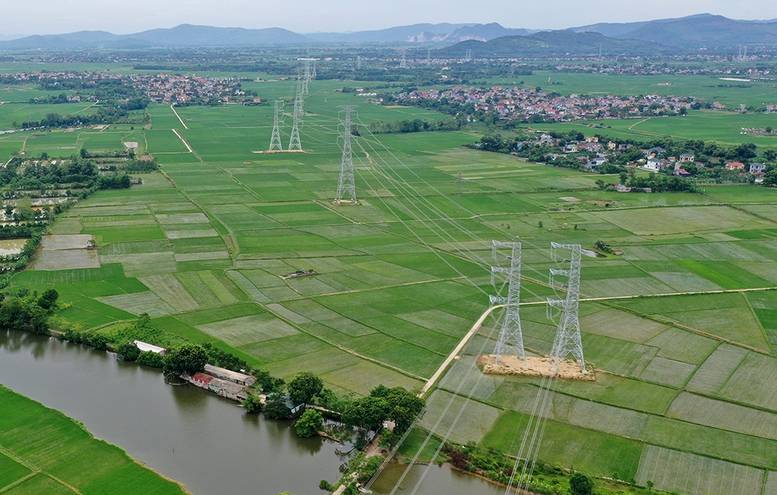 Mở đường cho dòng năng lượng xanh: Nghệ An giao hơn 10 ha đất cho dự án siêu đường dây 500kV mạch kép - Ảnh 1