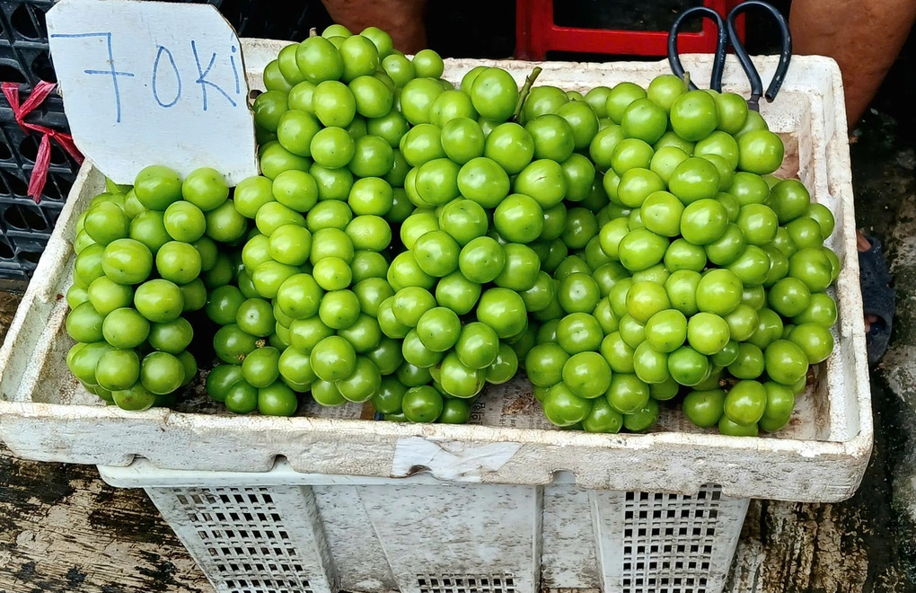 Nho mẫu đơn được bán tại chợ ở TP HCM trong tháng 8. Ảnh: Thi Hà
