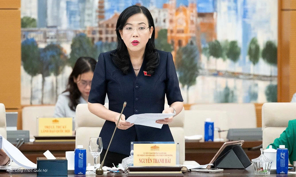 Chủ nhiệm Ủy ban Khoa học, Công nghệ và Môi trường Nguyễn Thanh Hải phát biểu sáng 28/8. Ảnh: Cổng TTĐT Quốc hội