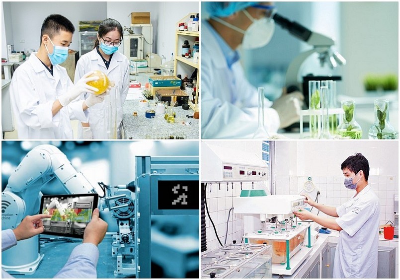 Chỉ đạo, điều hành của Chính phủ, Thủ tướng Chính phủ nổi bật tháng 8/2026 - Ảnh 2