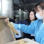 Nhật Bản ‘khát’ thợ trát vữa, lương 3.000 USD/tháng