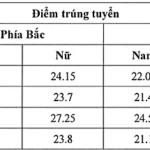 Điểm chuẩn Học viện Tòa án, Đại học Kiểm sát cao nhất 29,67