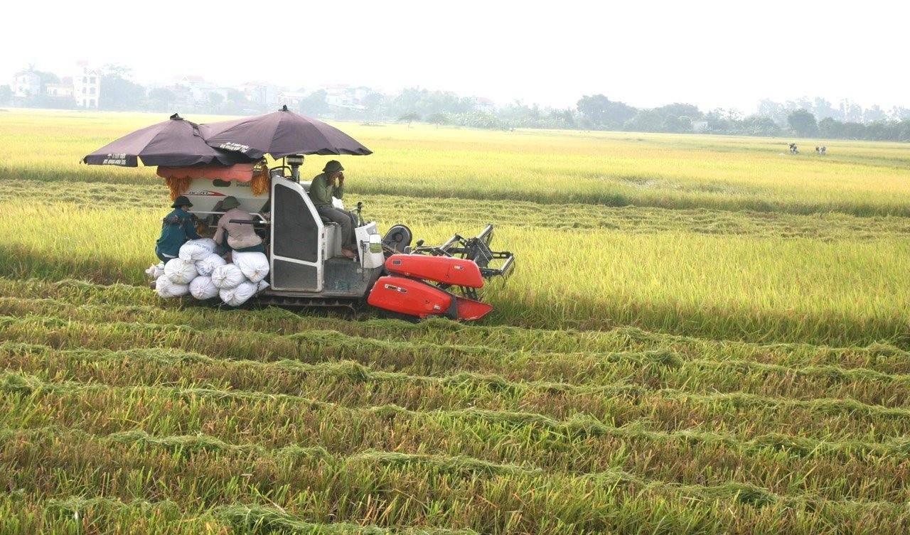 Hà Nội thúc đẩy quản trị phát thải, chuẩn bị tham gia thị trường carbon - Ảnh 1