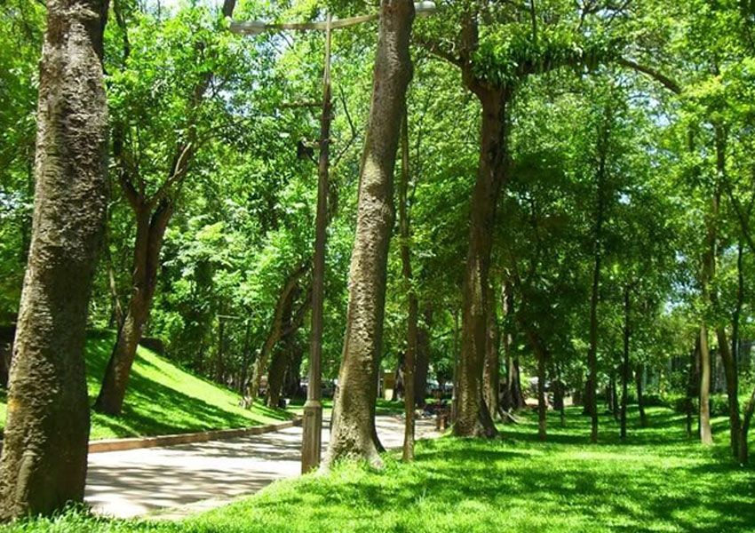 Hà Nội thúc đẩy quản trị phát thải, chuẩn bị tham gia thị trường carbon - Ảnh 2