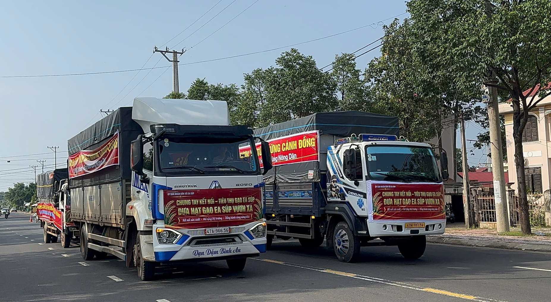 Đắk Lắk: Xã Ea Súp kết nối tiêu thụ khoảng 850 tấn gạo ST24, ST25 sau livestream - Ảnh 2