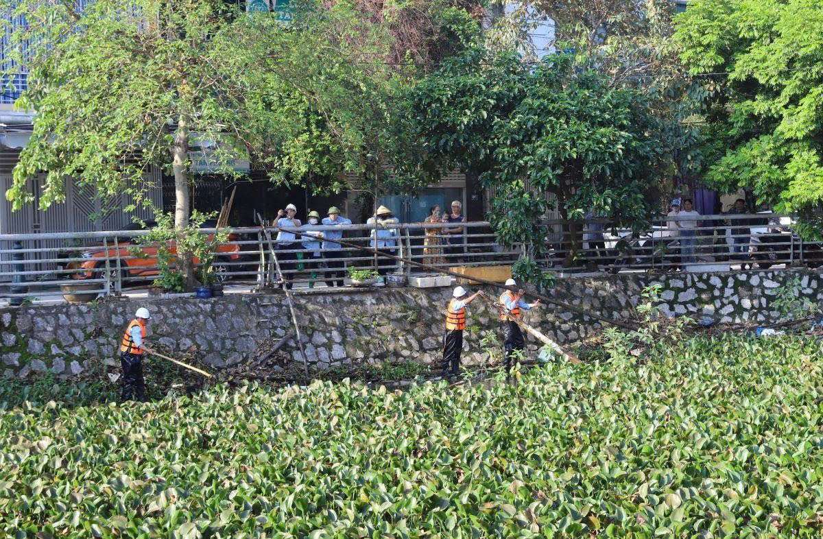 Thanh Hóa: Phát động phong trào bảo vệ môi trường, phòng chống dịch bệnh trong mùa mưa bão - Ảnh 2