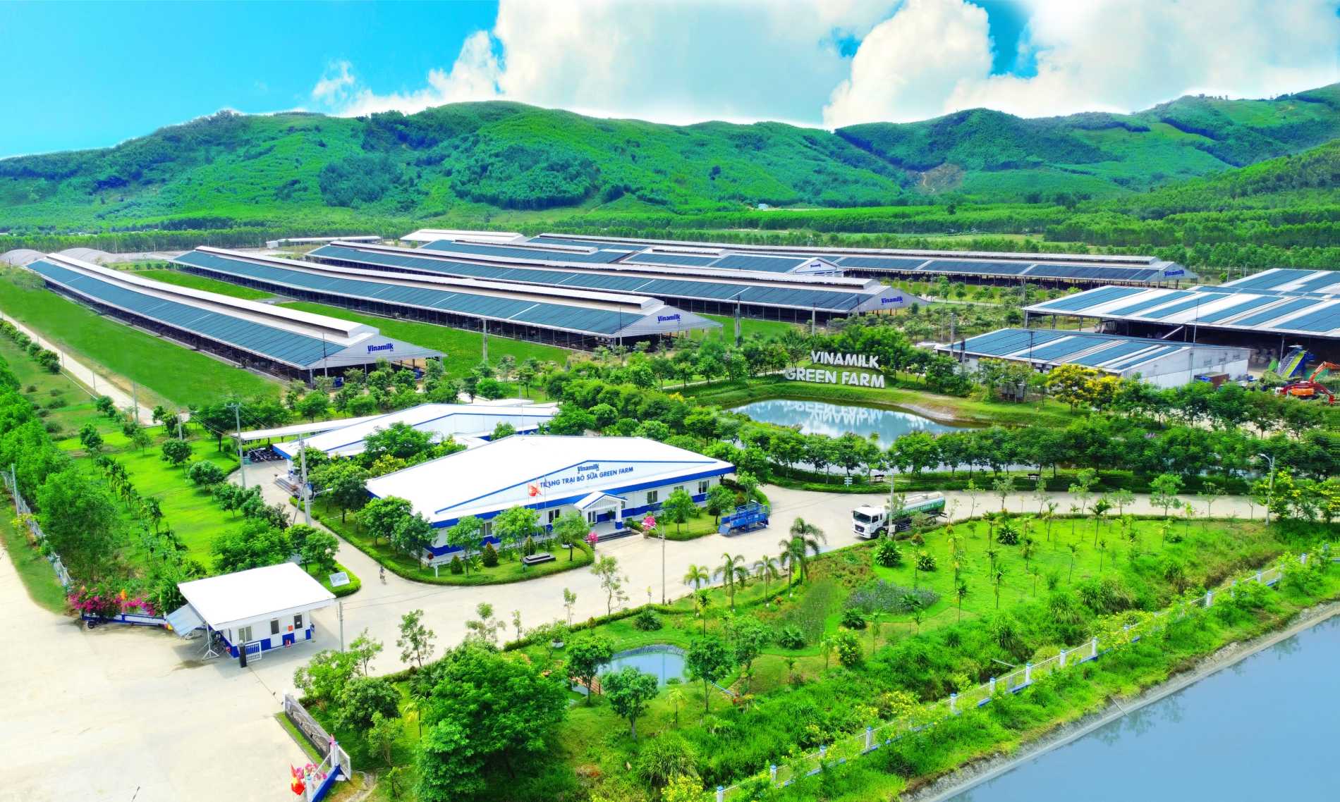 50 năm Vinamilk: Khi 'đạt chuẩn' chưa phải là điểm dừng - Ảnh 3