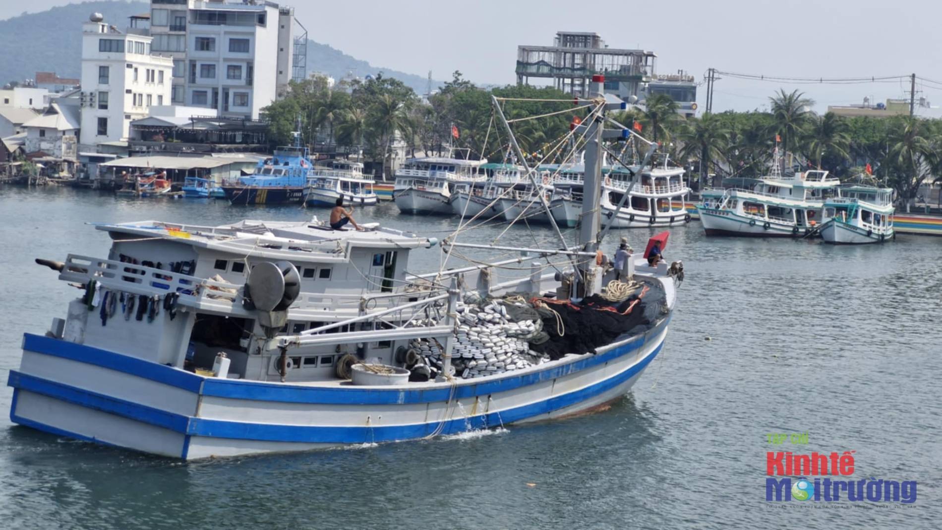 An Giang siết quản lý nghề cá, bịt “khoảng trống” chống IUU - Ảnh 4
