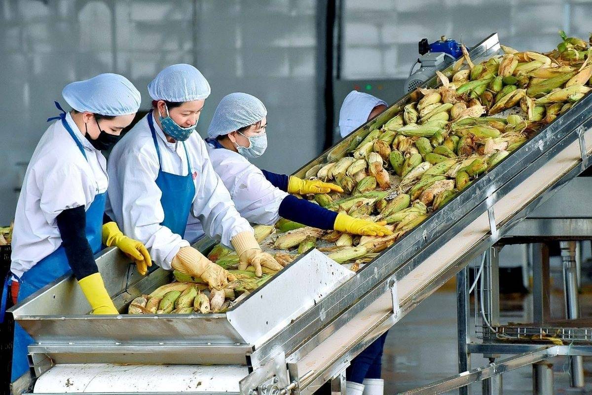 Gỡ điểm nghẽn để nâng giá trị nông, lâm, thủy sản Việt Nam - Ảnh 2