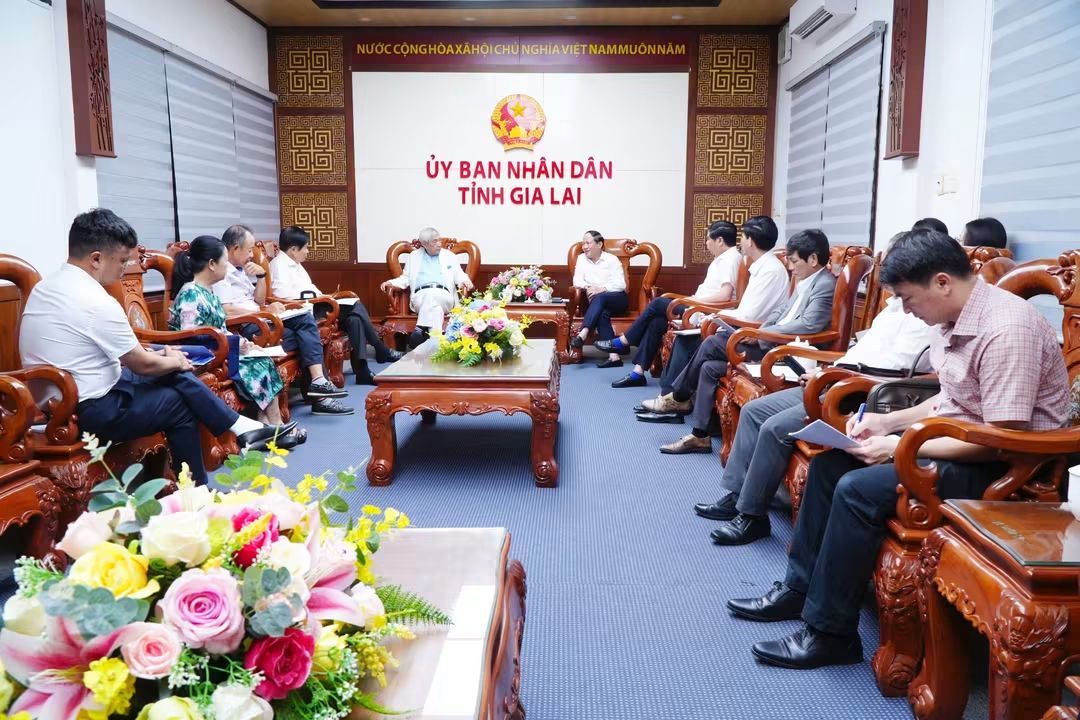 Gia Lai mở rộng dư địa hợp tác quốc tế từ công nghệ, môi trường đến nông nghiệp xanh - Ảnh 2
