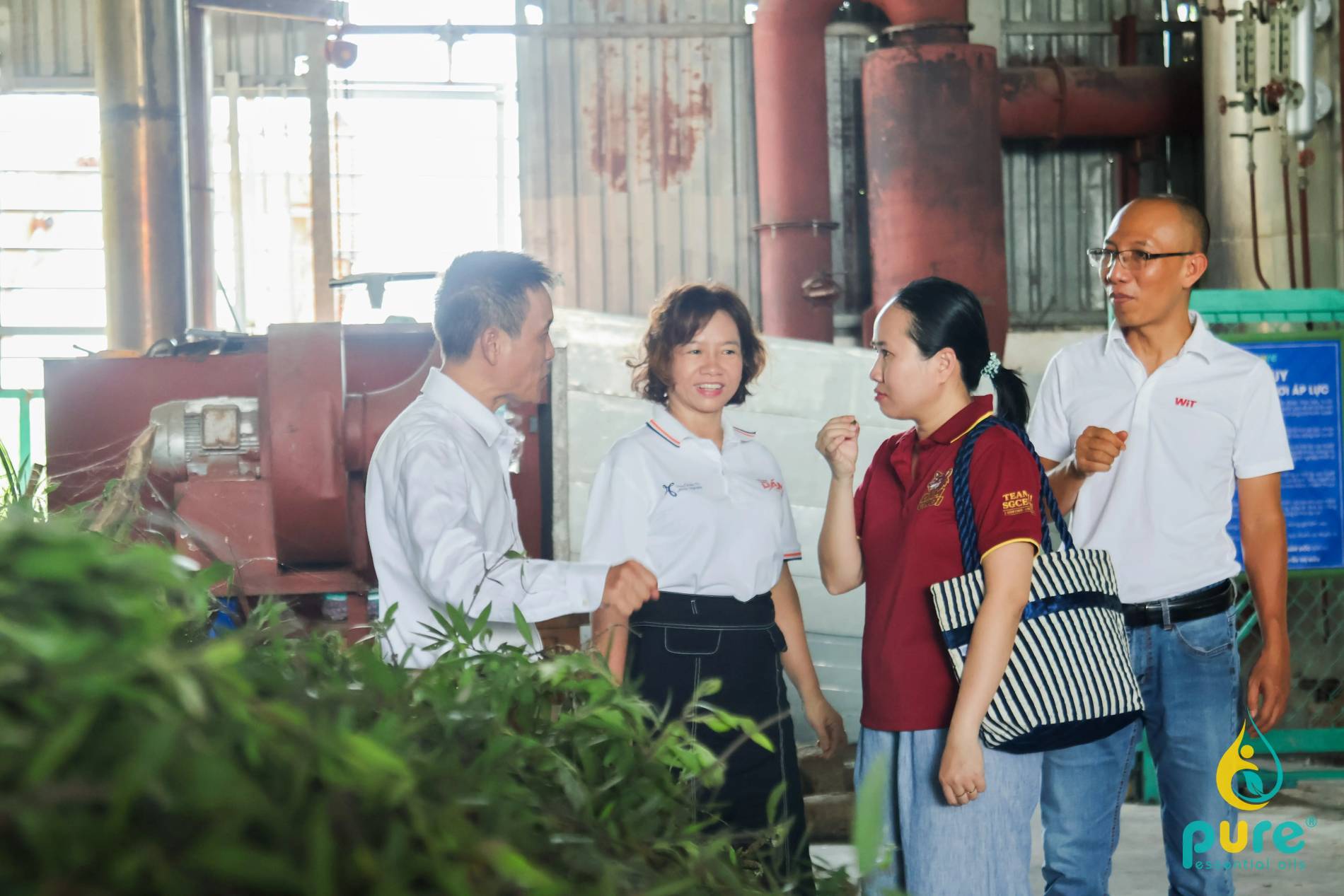 Mật mã Tràm Năm Gân – Hành trình CARAVAN kết nối giao thương Team 11 - CEOSG11 tại PURE GLOBAL - Ảnh 6