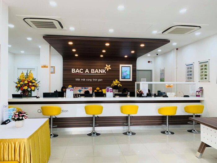 Bac A Bank: Hé lộ nhóm cổ đông nắm gần 50% vốn và dòng tiền trong hệ sinh thái - Ảnh 1