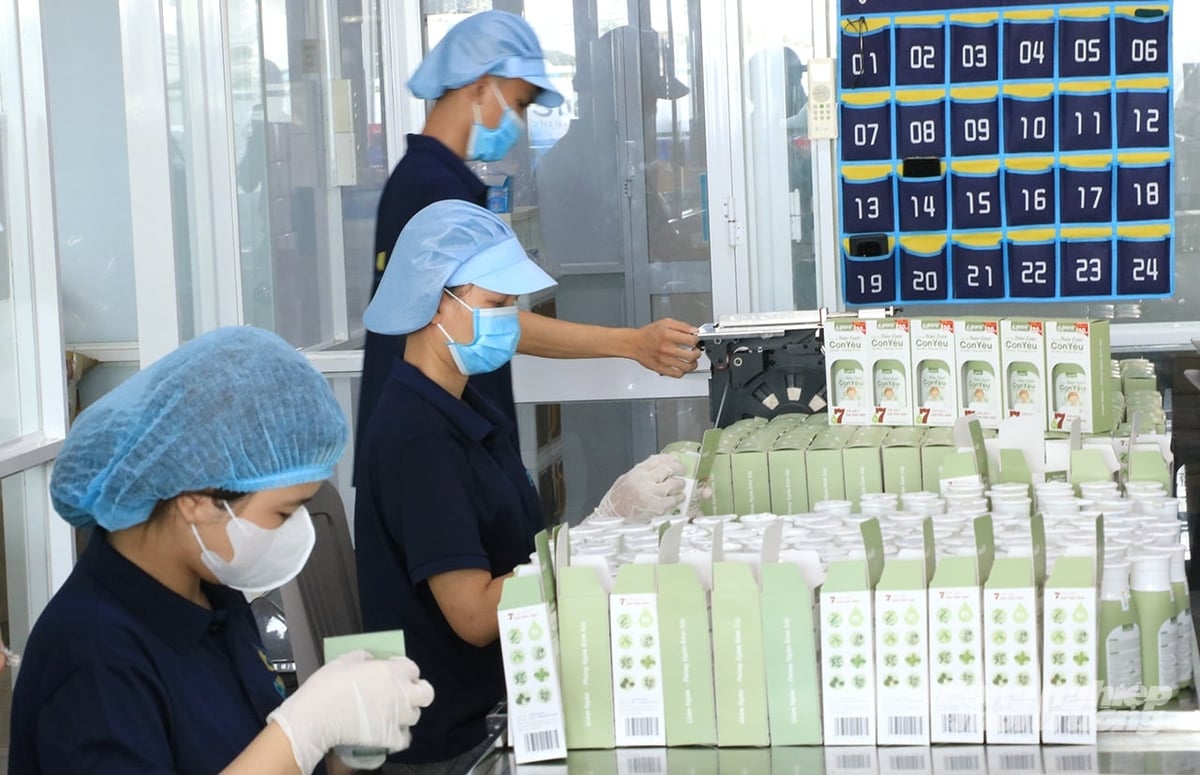 Tạo nhiều sản phẩm giá trị từ cây tràm nhờ không bỏ đi thứ gì - Ảnh 3