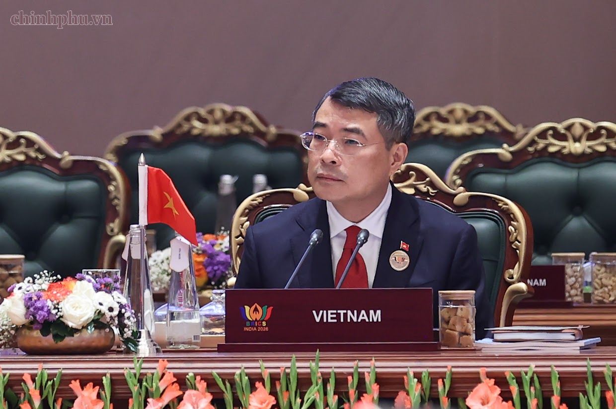 Thủ tướng Lê Minh Hưng đề xuất phát triển bền vững là 1 trong ba định hướng lớn tại Hội nghị thượng đỉnh BRICS - Ảnh 3