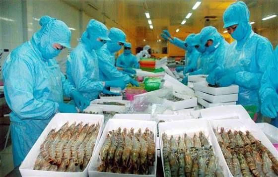 Xuất khẩu thủy sản vượt 9,1 tỷ USD, tăng trưởng đứng trước bài toán bền vững - Ảnh 1