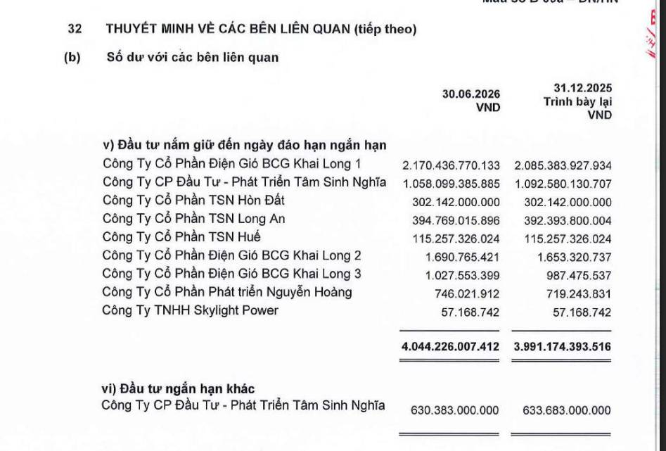 BCG Energy lỗ 6 tháng, hàng nghìn tỷ đồng liên quan đến Tâm Sinh Nghĩa - Ảnh 2
