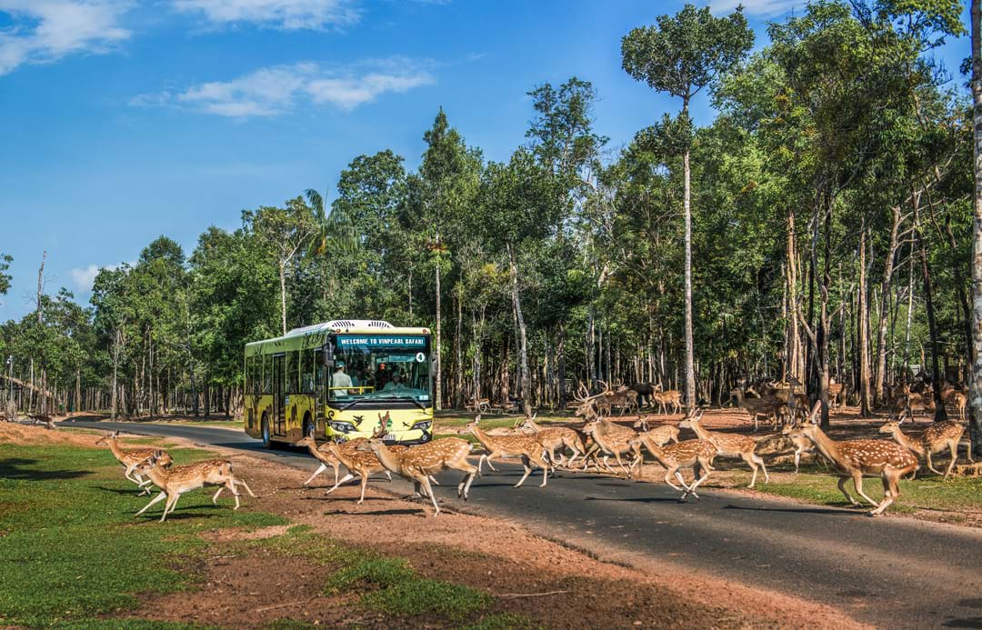 Nắm giữ “kỷ lục kép” thế giới: Vinpearl Safari Phú Quốc “khủng” cỡ nào? - Ảnh 1