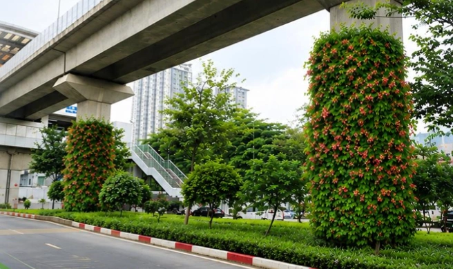 Phối cảnh trồng cây leo quanh trụ cầu đường sắt tuyến Cát Linh - Hà Đông, tại khu vực đường Nguyễn Trãi (trước tòa nhà Royal city).