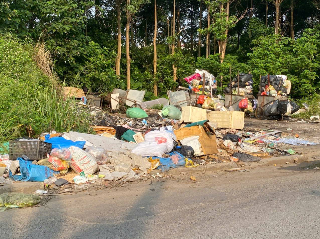 GS.TS Hoàng Xuân Cơ: Điện rác muốn sinh lời phải tính cả chi phí môi trường (Bài cuối) - Ảnh 2