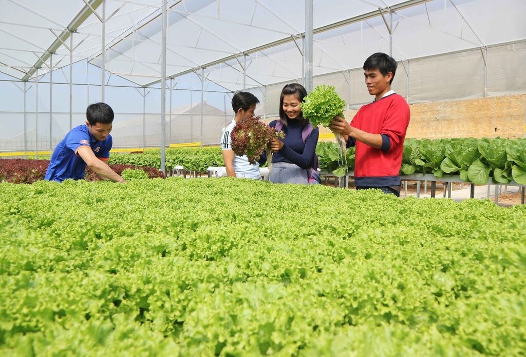 Lâm Đồng tìm cách tháo điểm nghẽn giải ngân vốn chương trình mục tiêu quốc gia - Ảnh 1