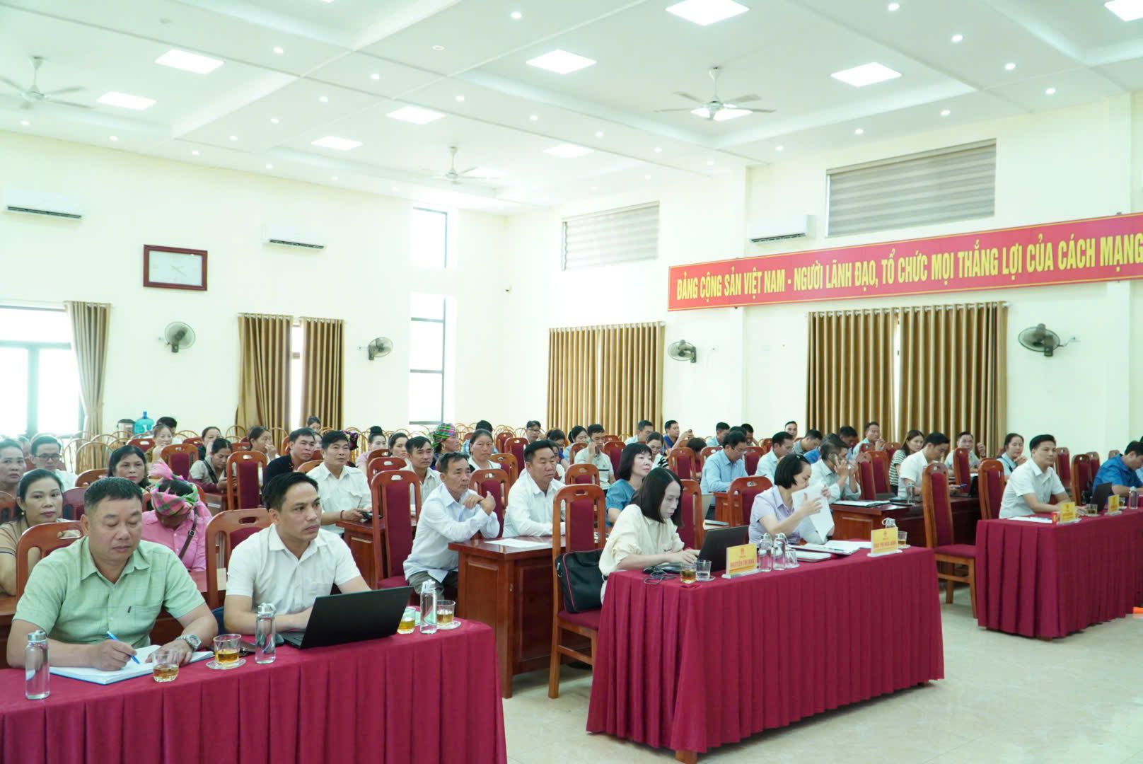Lào Cai phát triển cây dược liệu gắn với bảo tồn tài nguyên và sinh kế xanh - Ảnh 3