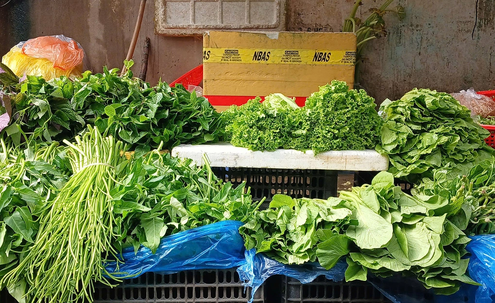 Rau ăn lá cũng là mặt hàng có mức tăng giá khá cao. Ảnh: Thi Hà