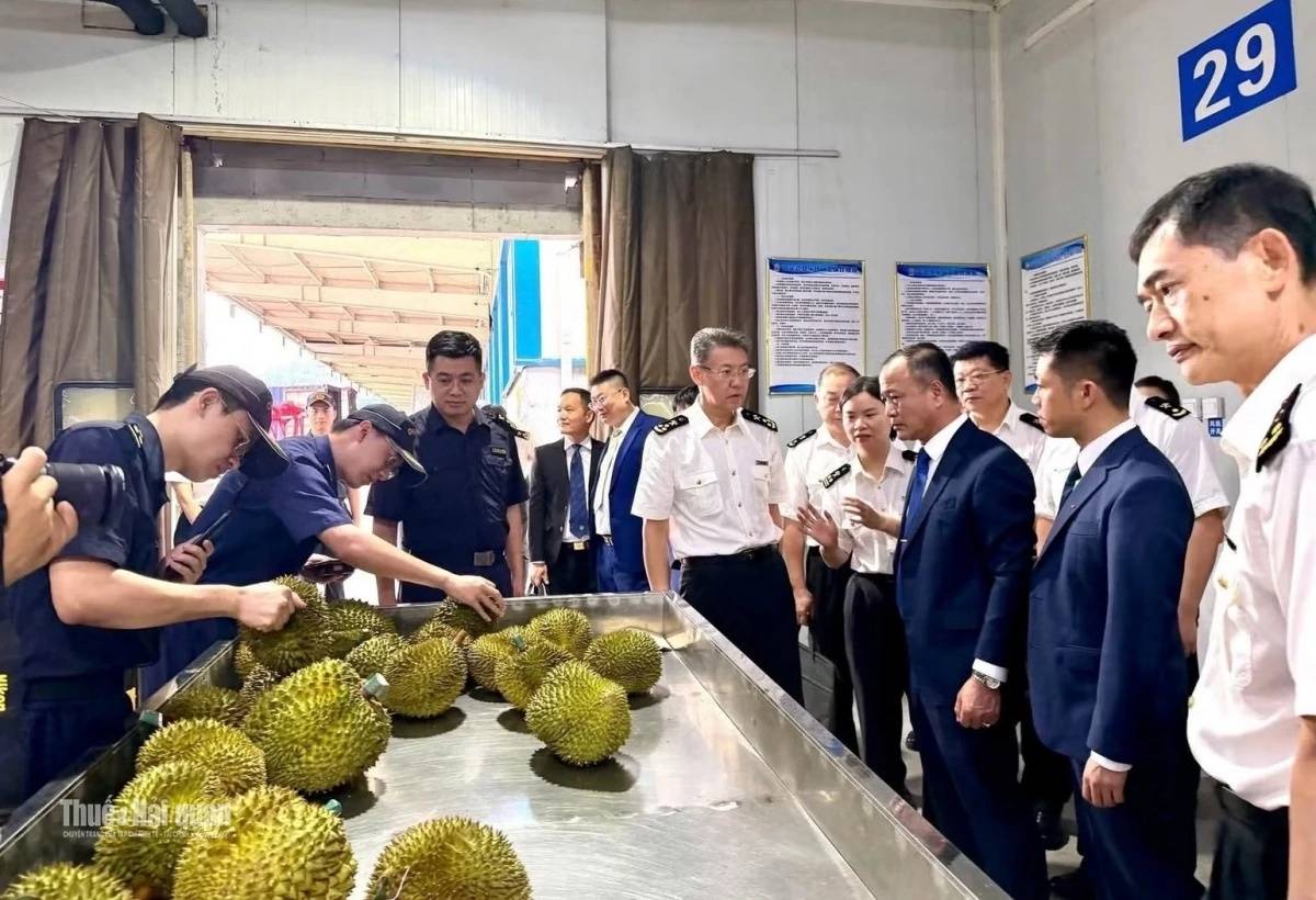 Hải quan khu vực VI: Đổi mới quản trị, mở rộng dư địa nguồn thu - Ảnh 2