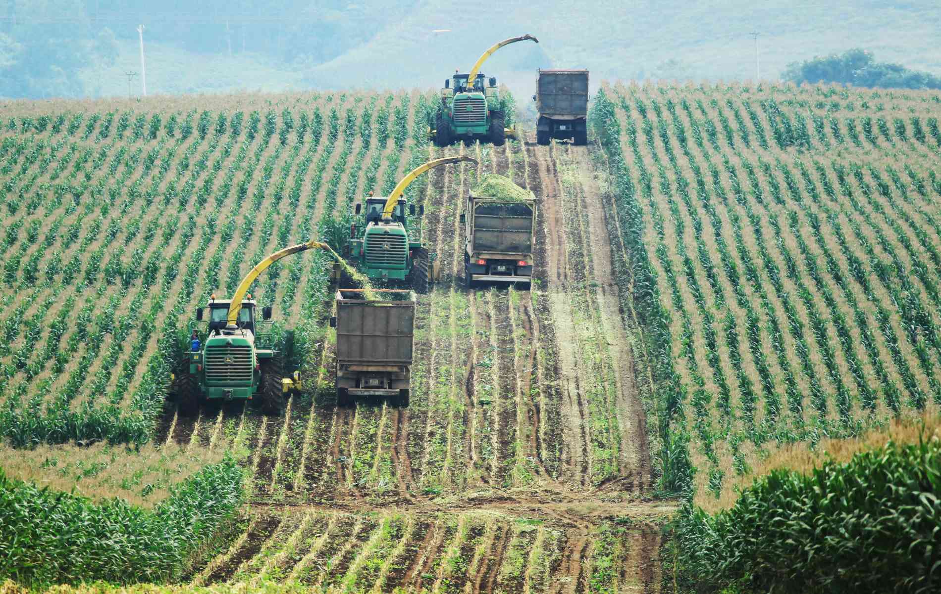 Tập đoàn TH: Chuyển đổi xanh mở đường tiến sâu vào chuỗi giá trị toàn cầu - Ảnh 3