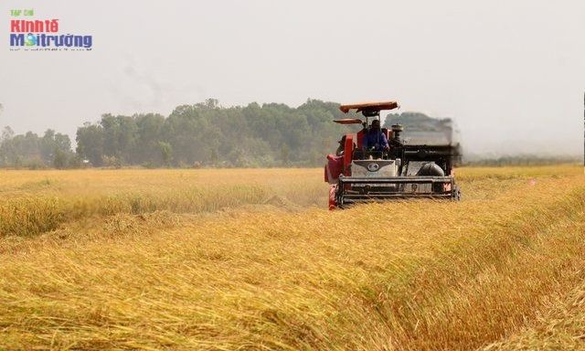 An Giang: Nâng tầm giá trị xuất khẩu, tạo lực đẩy tăng trưởng hai con số - Ảnh 2