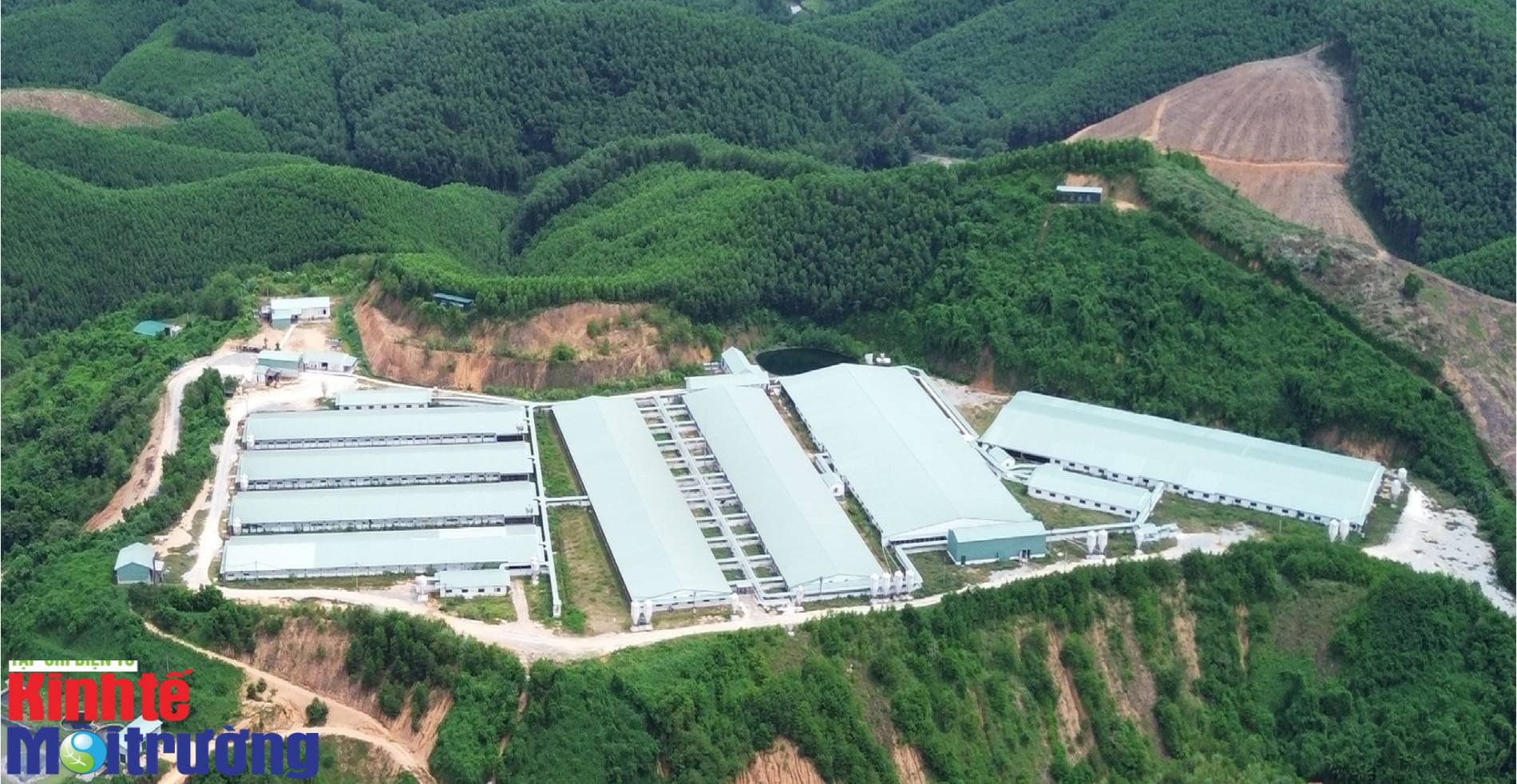 Tập đoàn Mavin: Năng lượng tái tạo và kinh tế tuần hoàn trong chuỗi chăn nuôi - Ảnh 3